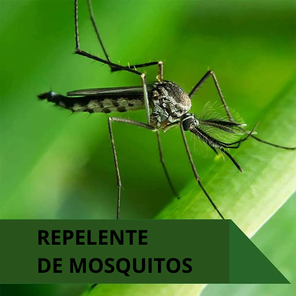 Repelente de Mosquitos Spray de Óleos Essenciais