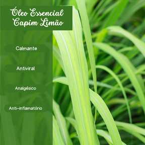 CAPIM LIMÃO - Óleo Essencial -10 ml