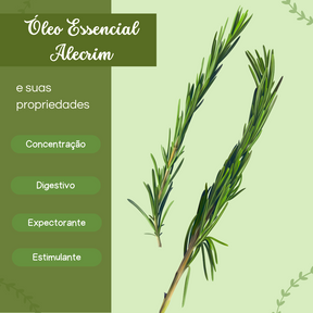 ALECRIM - Óleo Essencial - 10 ml